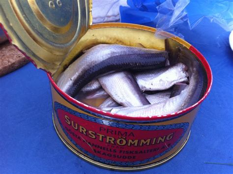 worst smelling fish in a can|Surströmming: The Swedish Stinky Fish Delicacy